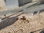 Enlarge photo 301