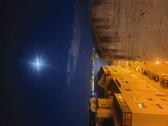 Enlarge photo 260