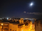 Enlarge photo 253