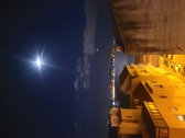 Enlarge photo 245