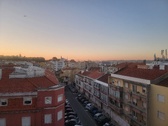 Enlarge photo 229