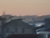 Enlarge photo 228
