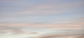 Enlarge photo 39