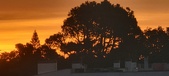 Enlarge photo 54