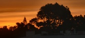 Enlarge photo 56