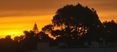 Enlarge photo 57