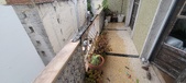Enlarge photo 64