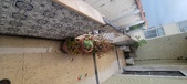 Enlarge photo 65