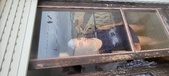 Enlarge photo 91