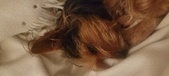 Enlarge photo 132