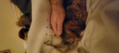 Enlarge photo 130