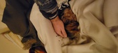 Enlarge photo 129