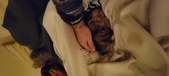 Enlarge photo 125
