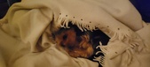 Enlarge photo 127
