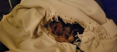 Enlarge photo 128