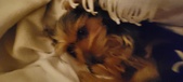 Enlarge photo 124