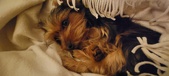 Enlarge photo 122