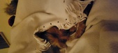 Enlarge photo 120