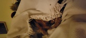 Enlarge photo 119