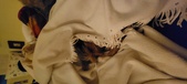 Enlarge photo 118