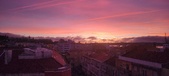 Enlarge photo 203