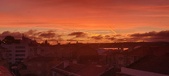 Enlarge photo 207