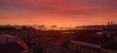 Enlarge photo 209