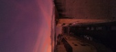 Enlarge photo 225