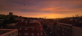 Enlarge photo 240