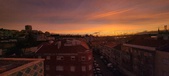 Enlarge photo 241