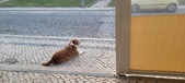 Enlarge photo 53