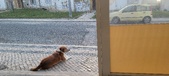 Enlarge photo 55