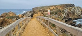 Enlarge photo 126