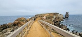 Enlarge photo 130