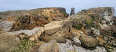 Enlarge photo 132