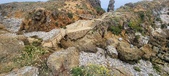 Enlarge photo 135