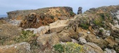 Enlarge photo 137