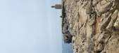 Enlarge photo 148