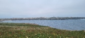 Enlarge photo 149