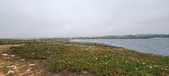 Enlarge photo 152