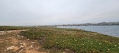Enlarge photo 153