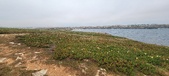 Enlarge photo 157