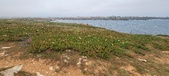 Enlarge photo 156