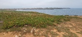 Enlarge photo 155