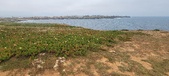 Enlarge photo 154