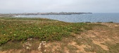 Enlarge photo 158