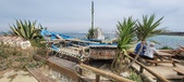 Enlarge photo 163