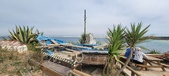 Enlarge photo 162