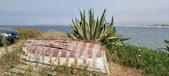Enlarge photo 168