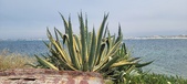 Enlarge photo 170